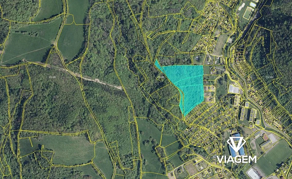 Prodej lesa 26984 m²
